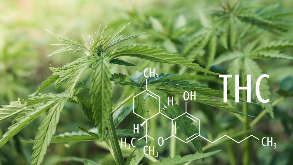 A tetrahidrokannabinol molekulaszerkezete