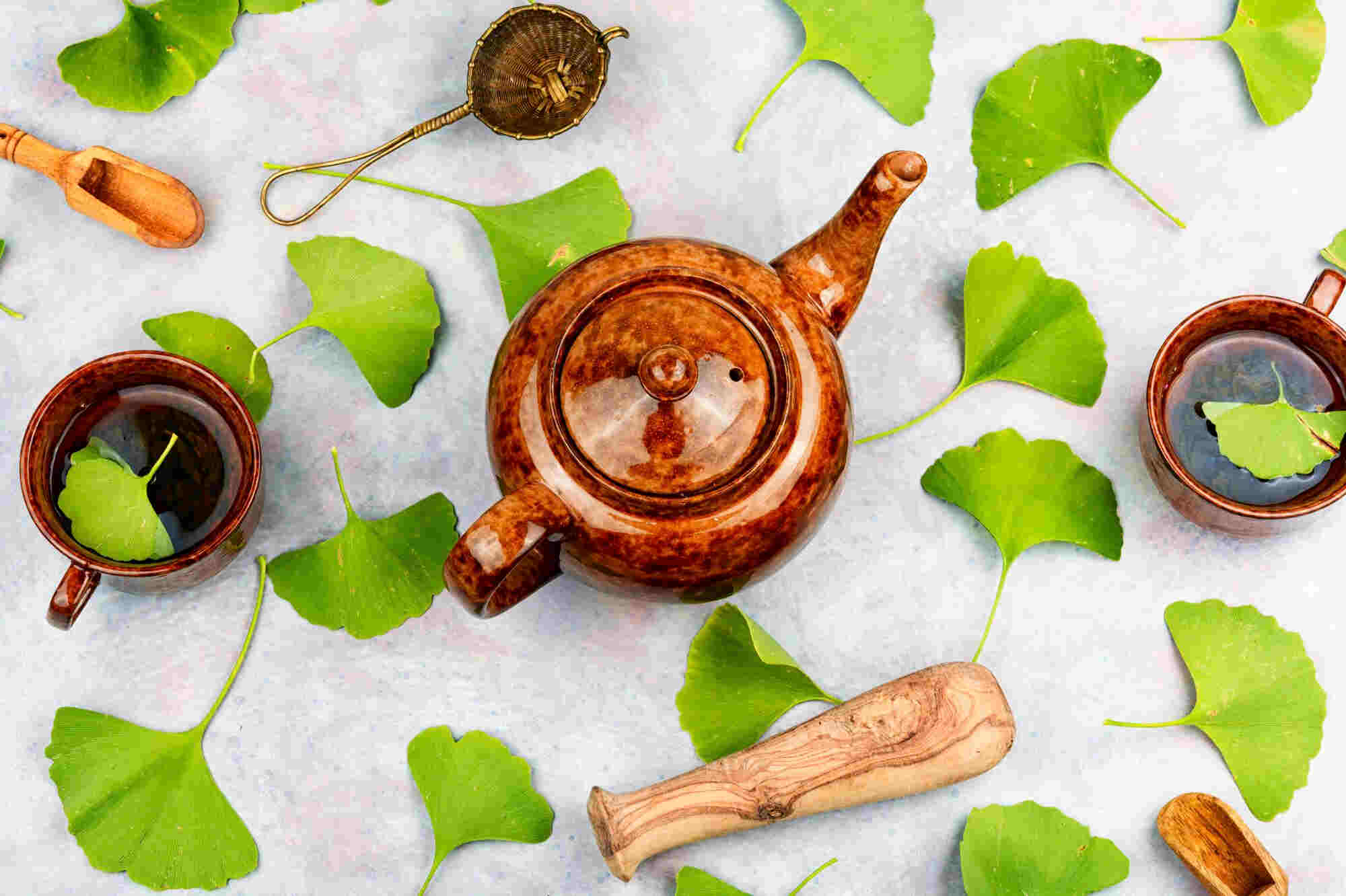 ginkgo biloba tea készítése lépésről lépésre