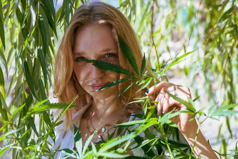 a kannabidiolsav hatásai illusztrációval