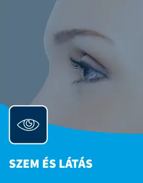 Szem és látás