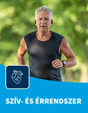 Szív- és érrendszer